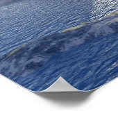 アリューシャン ポスター (角)