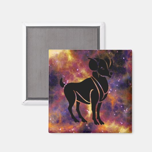 アリラム磁石 マグネット (正面/裏面)