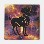 アリラム磁石 マグネット (正面)