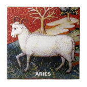 アリーズザラム〔占星術の〕十二宮図サインバースデーパーティー タイル (正面)