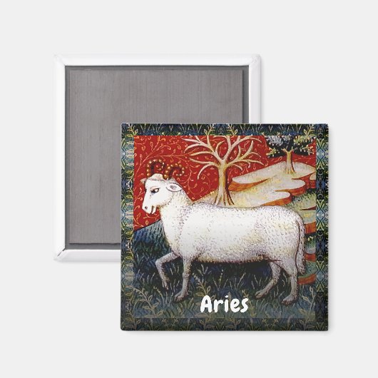 アリーズザラム〔占星術の〕十二宮図サインバースデーパーティー マグネット (正面/裏面)