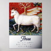 アリーズザラム〔占星術の〕十二宮図サインバースデーパーティー 箔ポスター (正面)