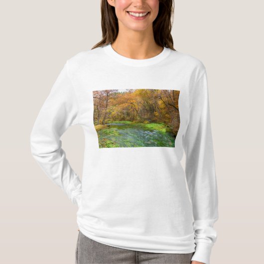 アリー春オータムウォーター Tシャツ (正面)