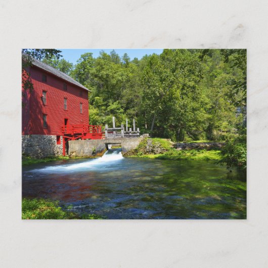 アリー春 ポストカード (正面)