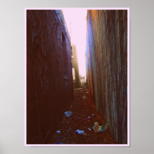 アリー ポスター (正面)