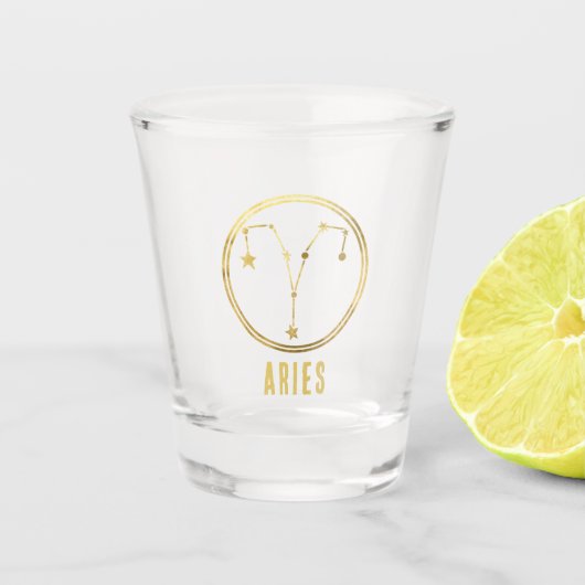 アリー〔占星術の〕十二宮図サインアストロロジー占星術金ゴールド ショットグラス (正面)