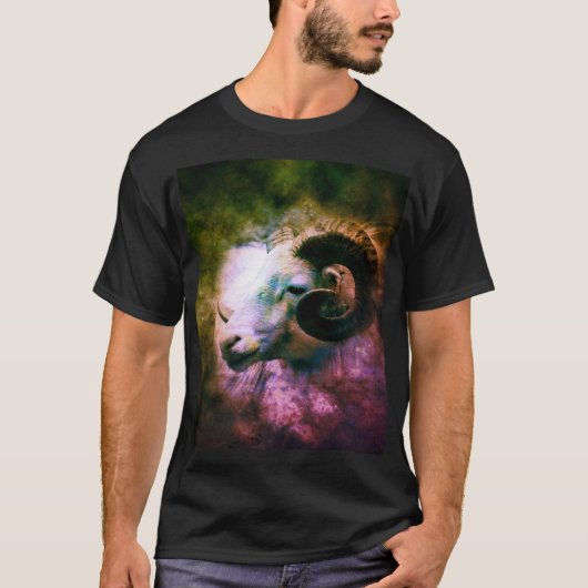 アリー〔占星術の〕十二宮図星占い記号Ram Tシャツ (正面)
