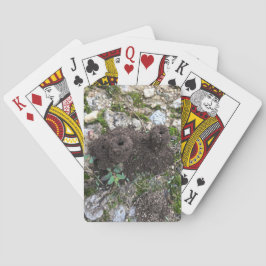 アリ城 トランプ