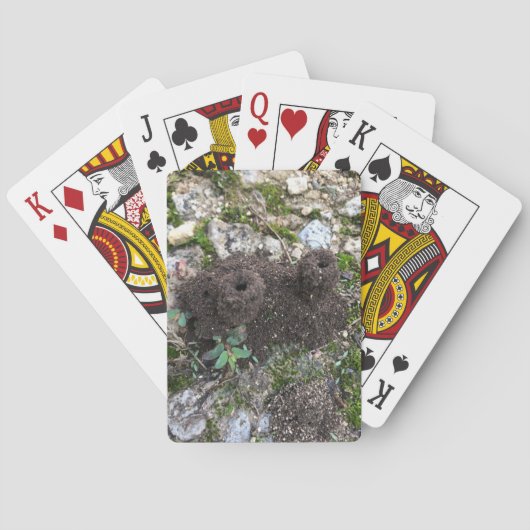 アリ城 トランプ (裏面)