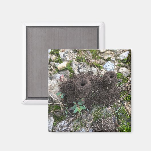 アリ城 マグネット (正面/裏面)