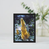 アリ葉書き付き黄色エビ工場 ポストカード (スタンド正面)