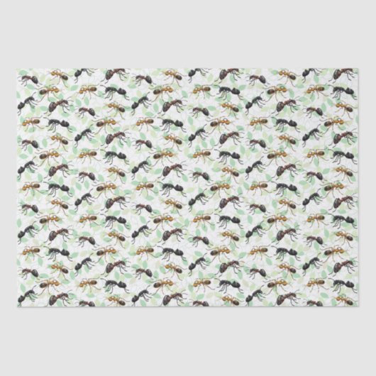 アリ虫が怖い怖い生き物 薄葉紙 (正面)