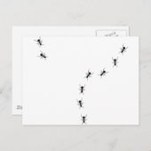 アリ追跡アイコン ポストカード (正面/裏面)