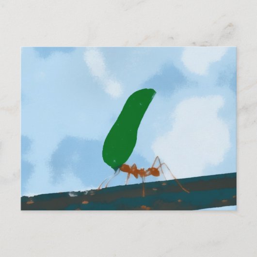 アリ運の葉 ポストカード (正面)