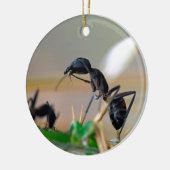 アリ食べの昆虫 セラミックオーナメント (左)