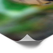 アリ食べの昆虫 ポスター (角)