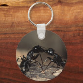 アリ キーホルダー (正面)