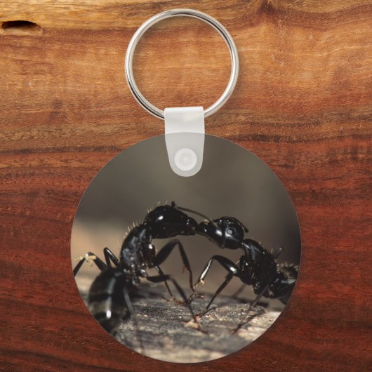 アリ キーホルダー (正面)