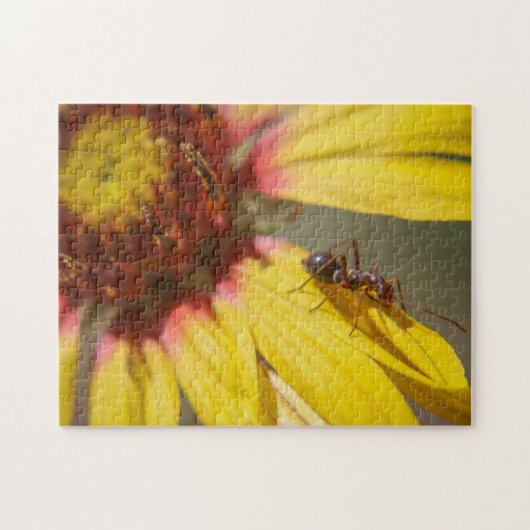 アリ ジグソーパズル (横)