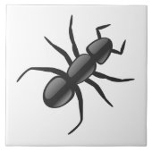 アリ タイル (正面)