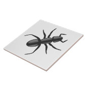 アリ タイル (側面)