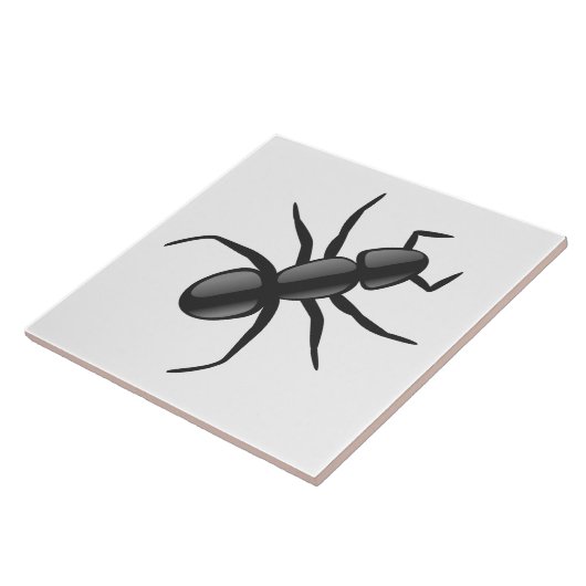 アリ タイル (側面)