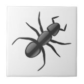 アリ タイル (正面)