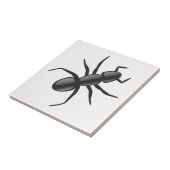 アリ タイル (側面)