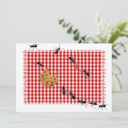 アリ・ピクニック 招待状 (スタンド正面)