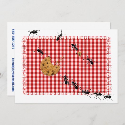 アリ・ピクニック 招待状 (正面/裏面)