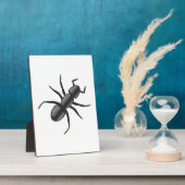 アリ フォトプラーク (側面)