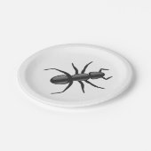 アリ ペーパープレート (アングル)