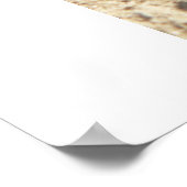 アリ。 ポスター (角)