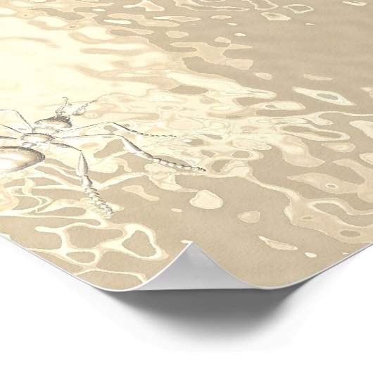 アリ！ ポスター (角)