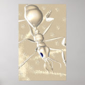 アリ！ ポスター (正面)