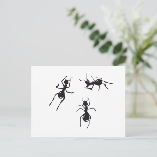 アリ ポストカード (スタンド正面)