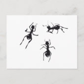 アリ ポストカード (正面)