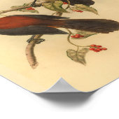 アルアイランドウッドカイクレッドブラックバードプリント ポスター (角)