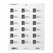 アルエルタコアラ写真 ラベル (フルシート)