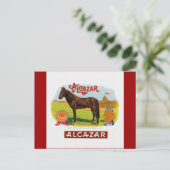 アルカサルザレースホース ポストカード (スタンド正面)