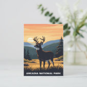 アルカディア国立公園のシカ ポストカード (スタンド正面)