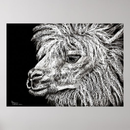 アルカパ ポスター (正面)