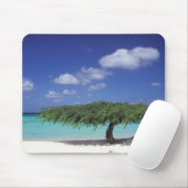 アルカリブのバ。イーグルビーチ マウスパッド (マウス)