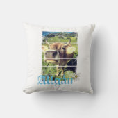 アルガウアルプスヴィンテージカウババリアGermanyお土産 クッション (正面)