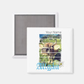 アルガウアルプスヴィンテージカウババリアGermanyお土産 マグネット (正面/裏面)