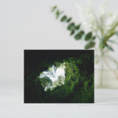 アルガルド・カルバオ：アゾレス諸島，テルセイラ ポストカード (スタンド正面)