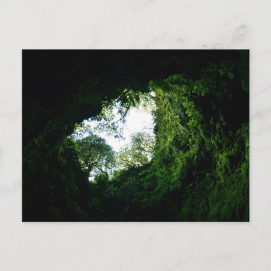 アルガルド・カルバオ：アゾレス諸島，テルセイラ ポストカード (正面)