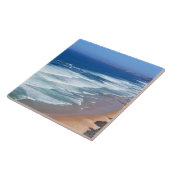 アルガルヴェビーチ，ポルトガル タイル (側面)