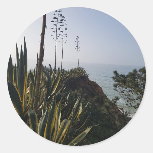 アルガルヴコースト ラウンドシール (正面)