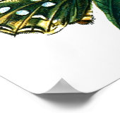 アルギニス ポスター (角)